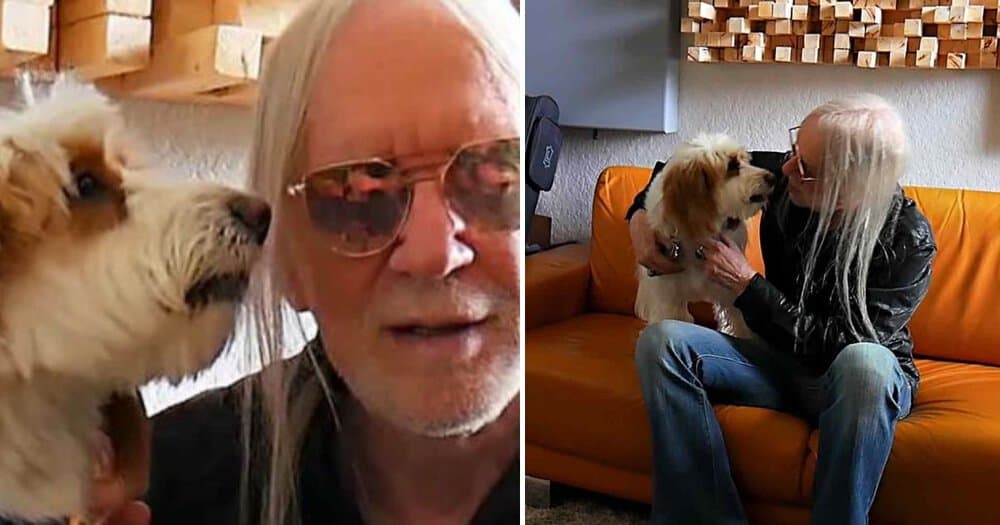 I Love My Dog Music Video A Heartwarming Tribute That You'll Want To Watch Repeatedly