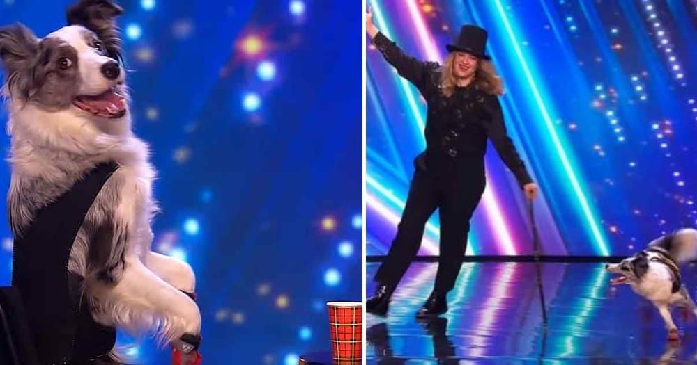 Judges Amazed By Dancing Border Collie And Trainer On Britain's Got Talent