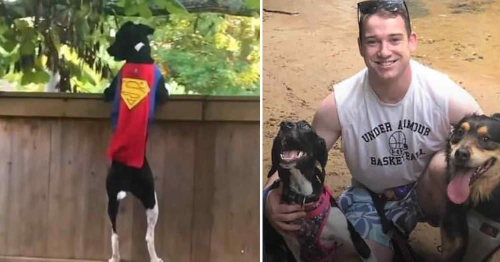 Rescue Dog Becomes Kentucky Man’s Backyard Hero