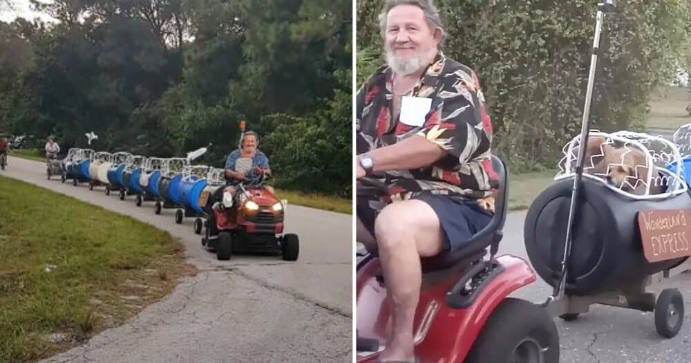 Senior Couple Creates Dog Train To Give Rescued K9s Fun Adventures