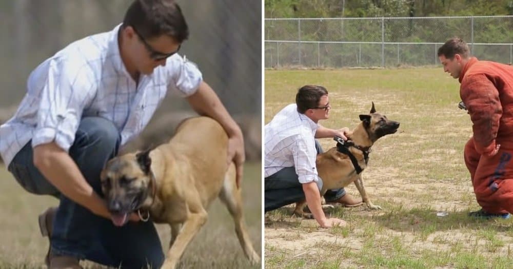Tenacious Sergeant Defies The Odds To Adopt Retired Military Dog