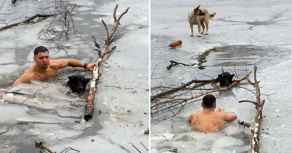 Ukrainian Hero Risks His Life To Rescue Trapped Dog