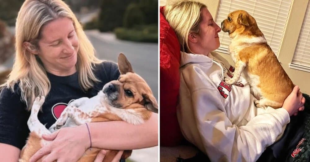 Woman Adopts Dog With An Unusual Mix Of 13 Breeds