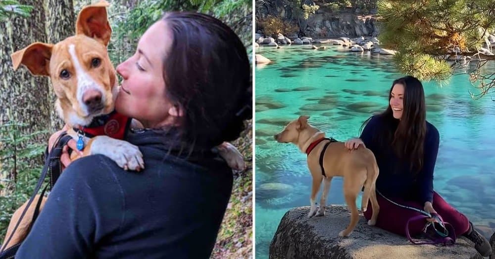 Woman Adopts Stray Dog During Trip, They Become Unstoppable Duo