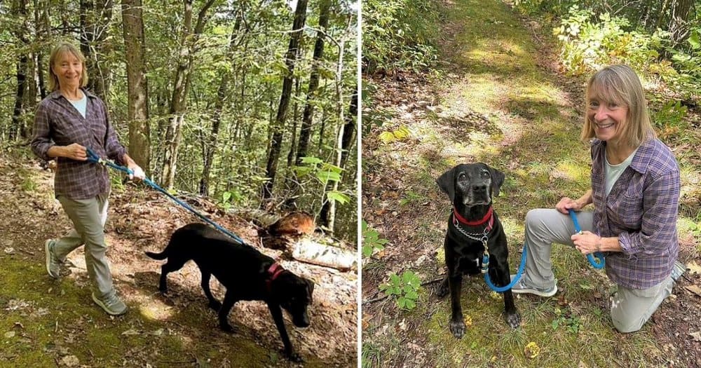 Dogs Bring Joy And Challenges On A Leash