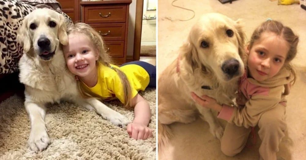 Emotional Reunion Dog's Tearful Embrace With Young Owner After 300 Days Apart Captivates Millions