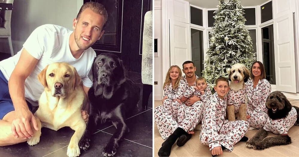 England Stars And Their Adorable Pets A Touch Of Home For Euro 2024