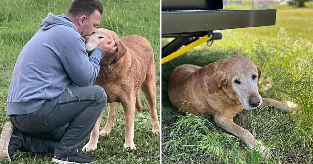 Family Heartbroken After Missing Dog Is Euthanized