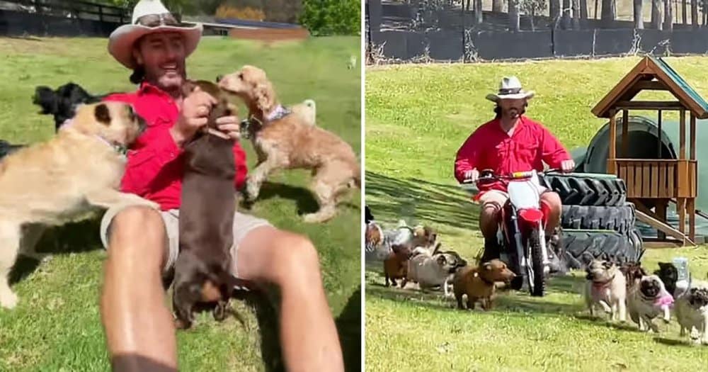 Joyful Reunion Small Dog Pack Floods Farm With Licks And Nuzzles