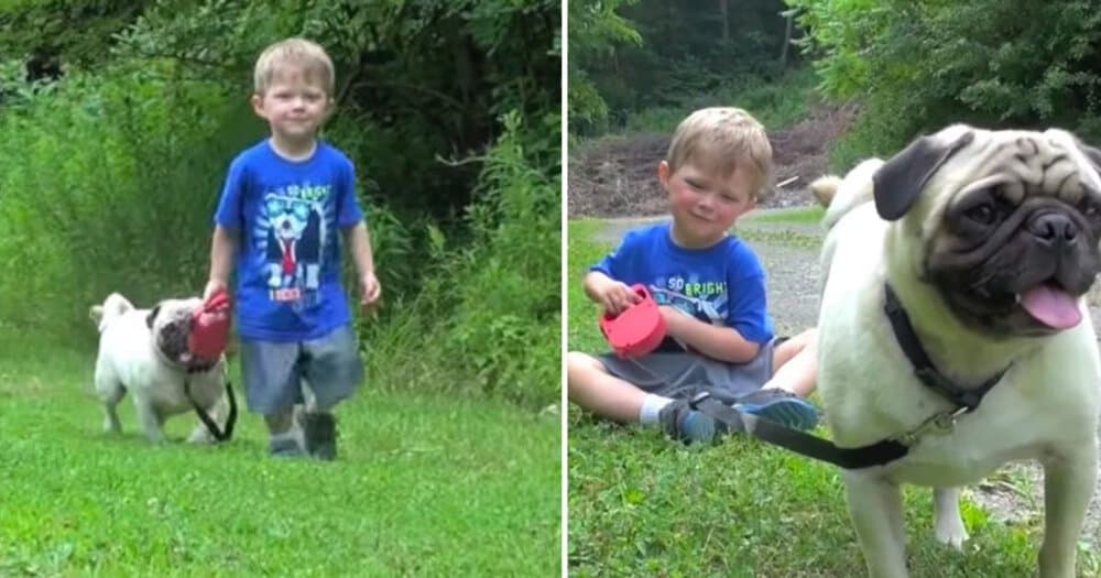 Little Boy’s First Walk With His Dog Is Pure Joy