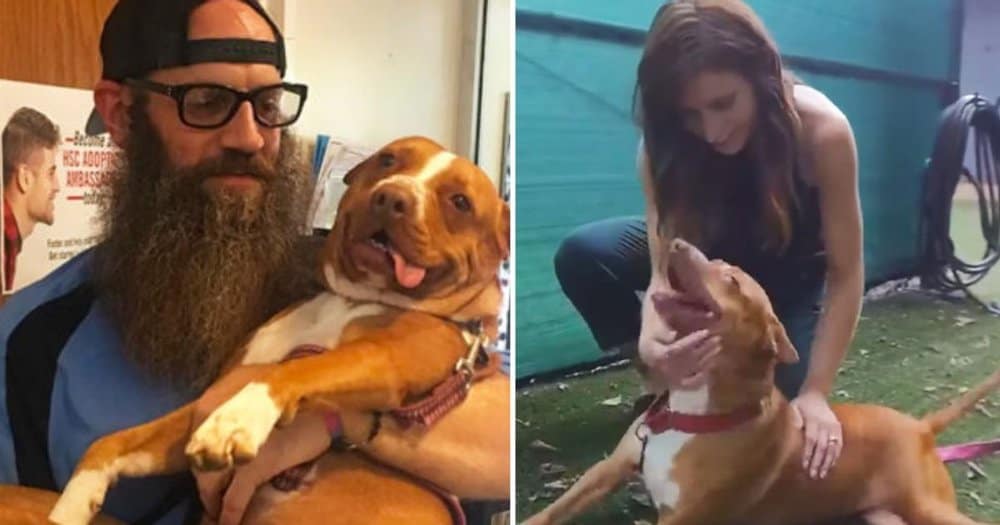 Paralyzed Shelter Pup Finds New Home With Devoted Adoptive Dad