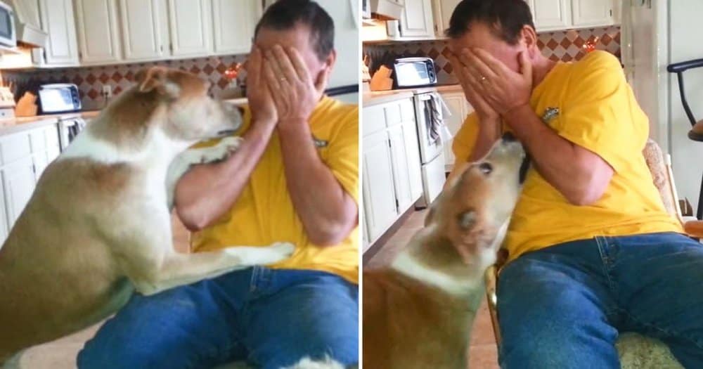 Rescue Dog’s Shyness Melts Away During Peek A Boo Game