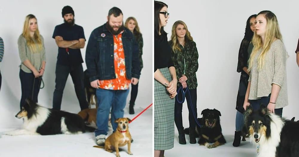 Three Strangers Challenge Identifying Dogs True Owners