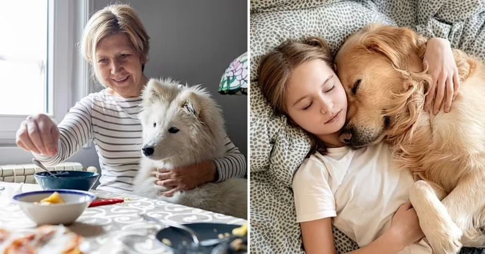 Would You Share A Bath With Your Dog Two In Five British Pet Owners Think It’s Perfectly Fine