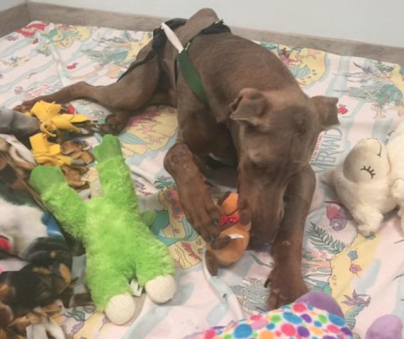 Thanks to the compassionate care of the ...