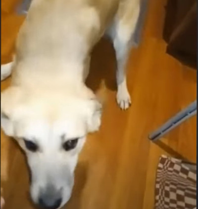 Extra image from article