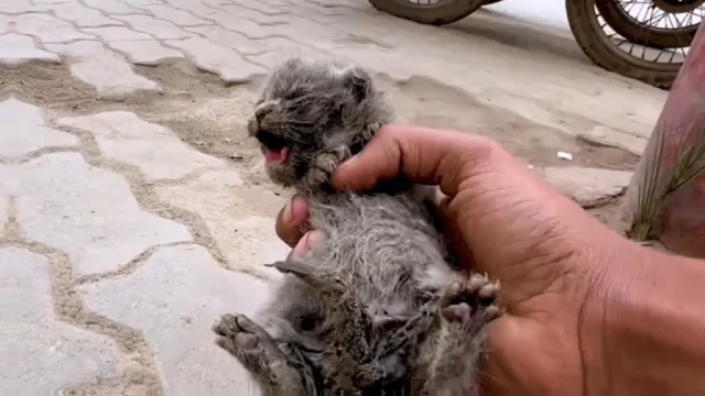 In the safety of the stranger's arms, th...