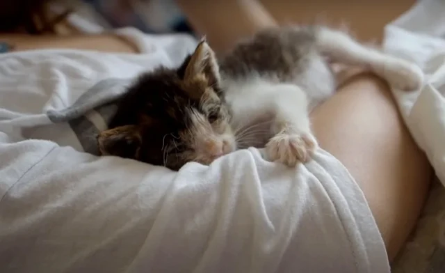 Extra image from article