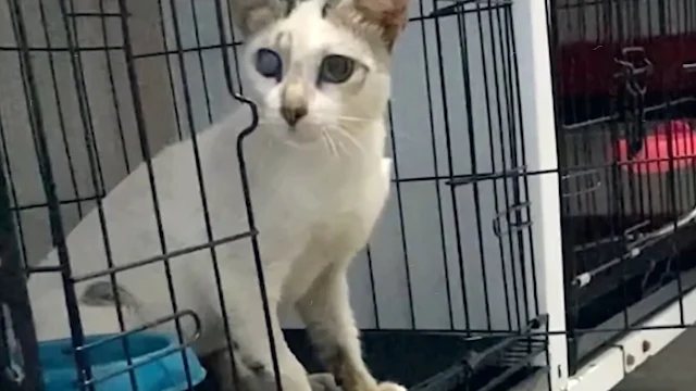 Despite their difficult past, both Frank...