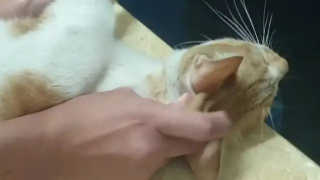 Sadly, help was not forthcoming. The str...