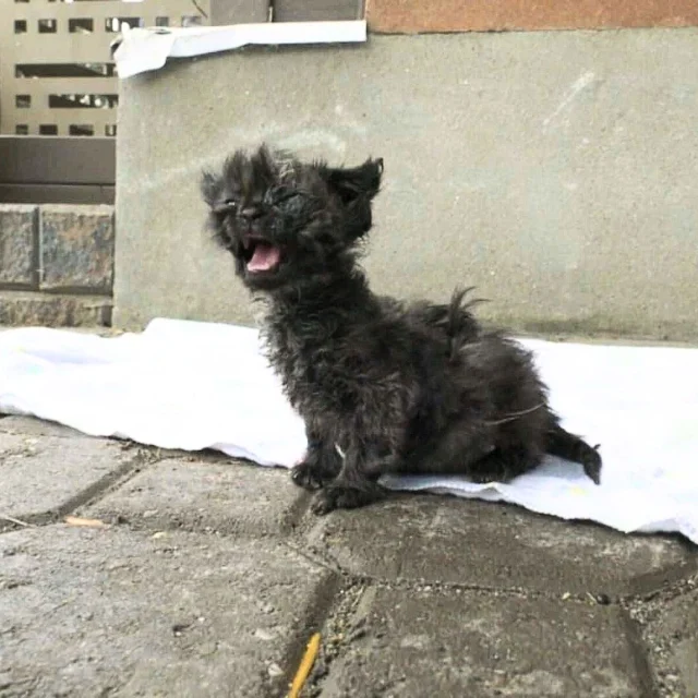 The story behind Ashley's situation was ...