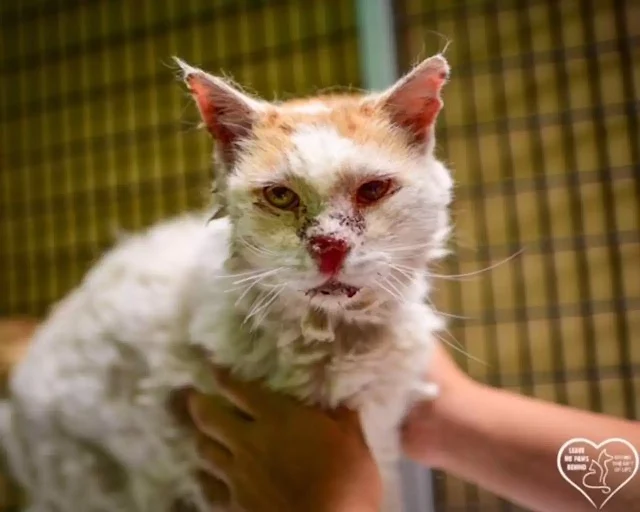 Touched by Shar Khan’s resilience and af...