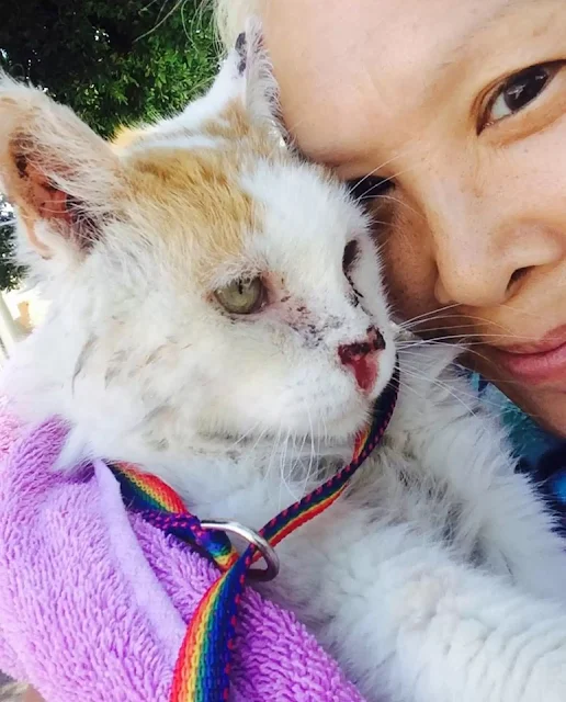 Extra image from article