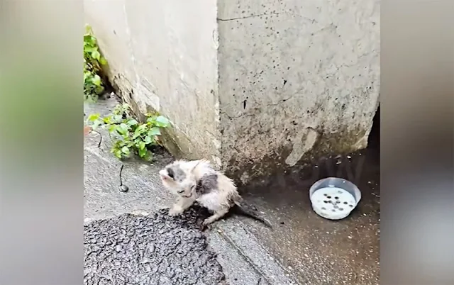 It was during this critical point that a...