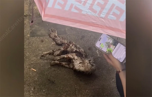 As we awaited the results, I offered him...