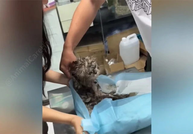 The operation was delicate, but he came ...