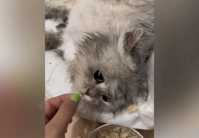 Each day brought new advancements—by the...