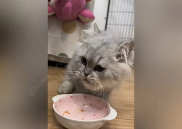 Extra image from article