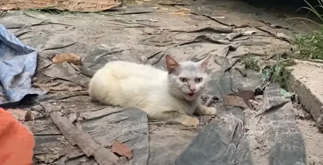 Over time, days turned to weeks as she s...