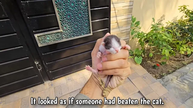 Moved by compassion, David stepped into ...