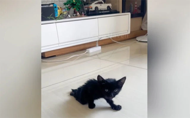 To further assist her, I built a small, ...