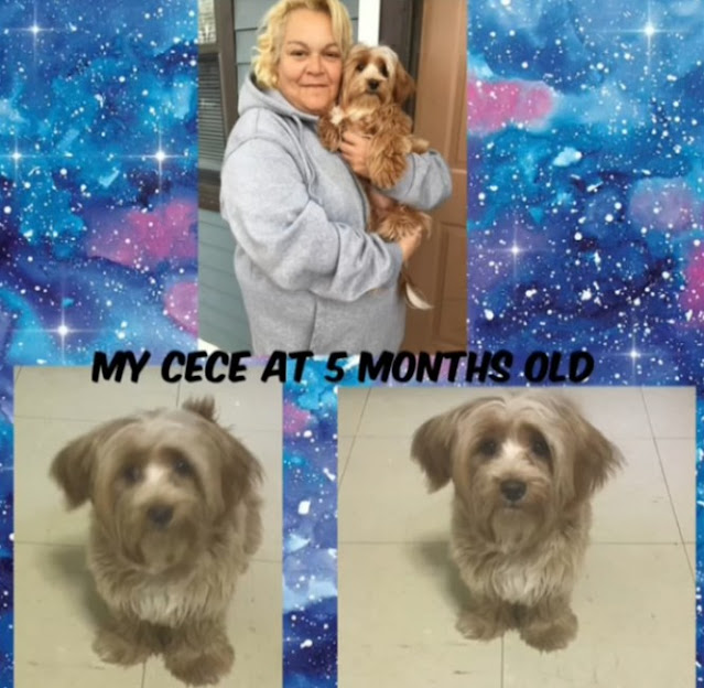 Extra image from article