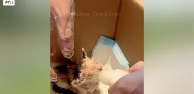 Our primary focus was May's health. A vi...