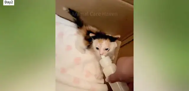 A month after rescuing her, May had visi...