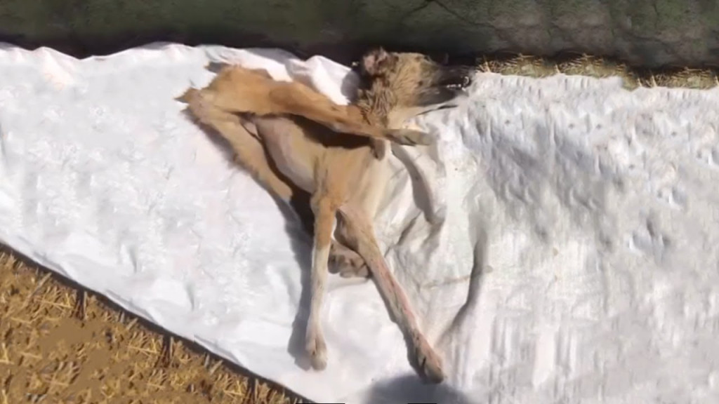 Determined to make a difference, they re...