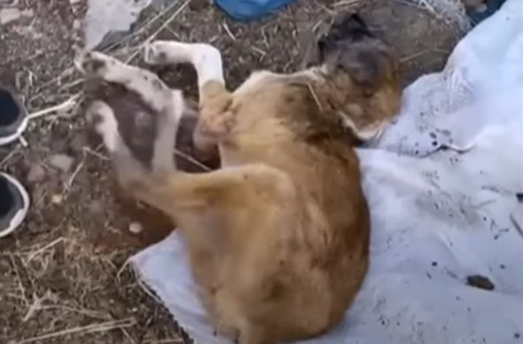 Although the road to recovery might be d...