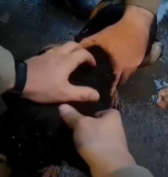 Extra image from article