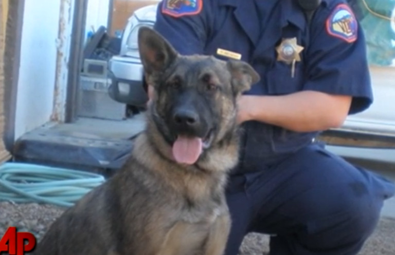 Extra image from article