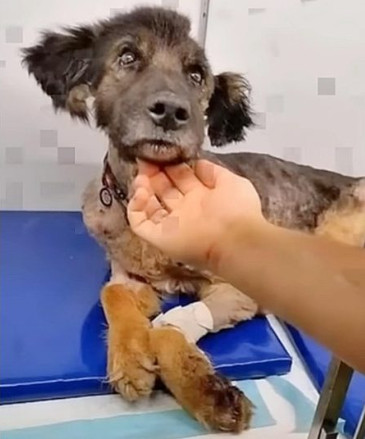 Extra image from article