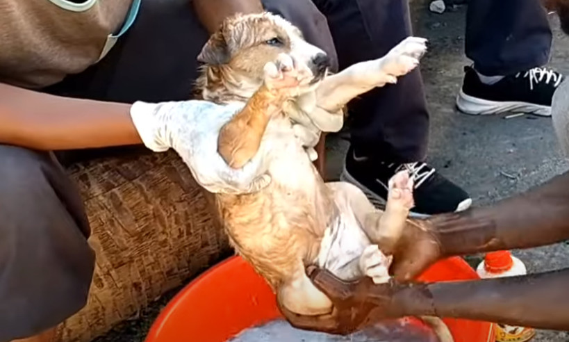 Extra image from article