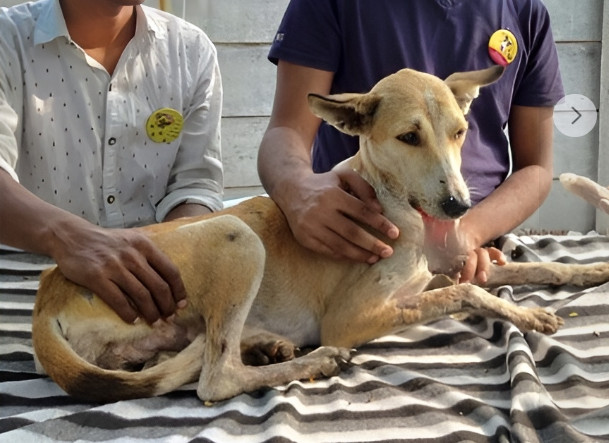 Extra image from article