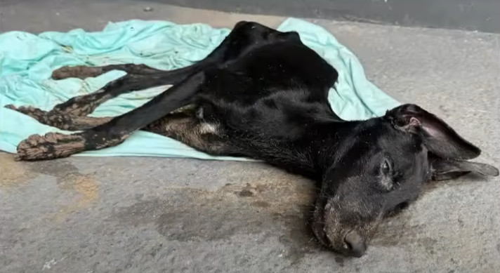 Just when I thought I had seen the worst...