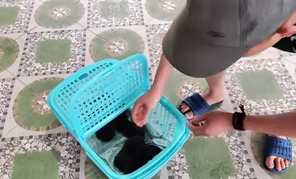 Extra image from article