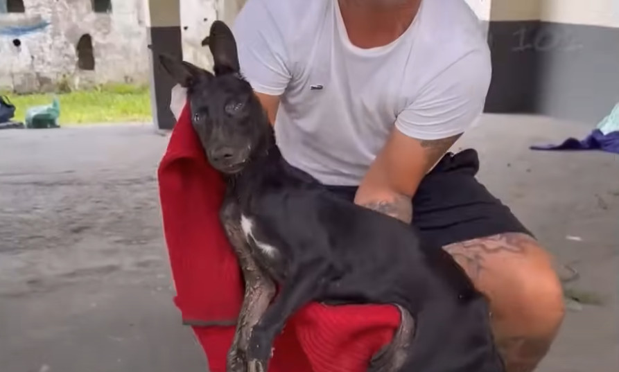 Extra image from article