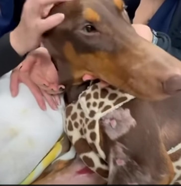 In a remarkable turn of events, Rosa has...