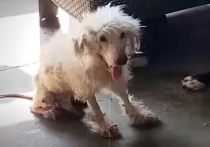 Extra image from article